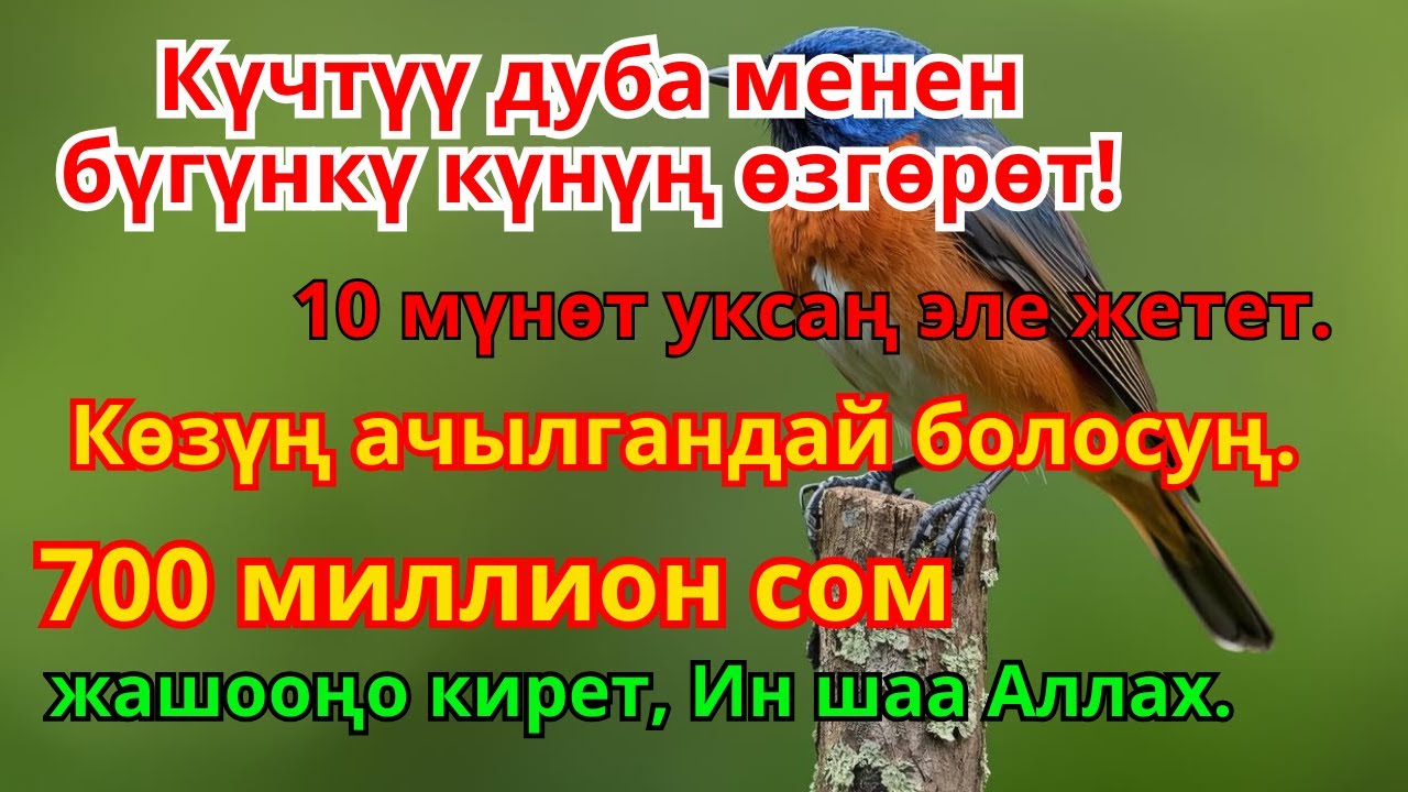 КАРЫЗДАН КУТУЛТКАН Дуба! 💎 Ырыскы ҮЙГӨ КИРЕТ