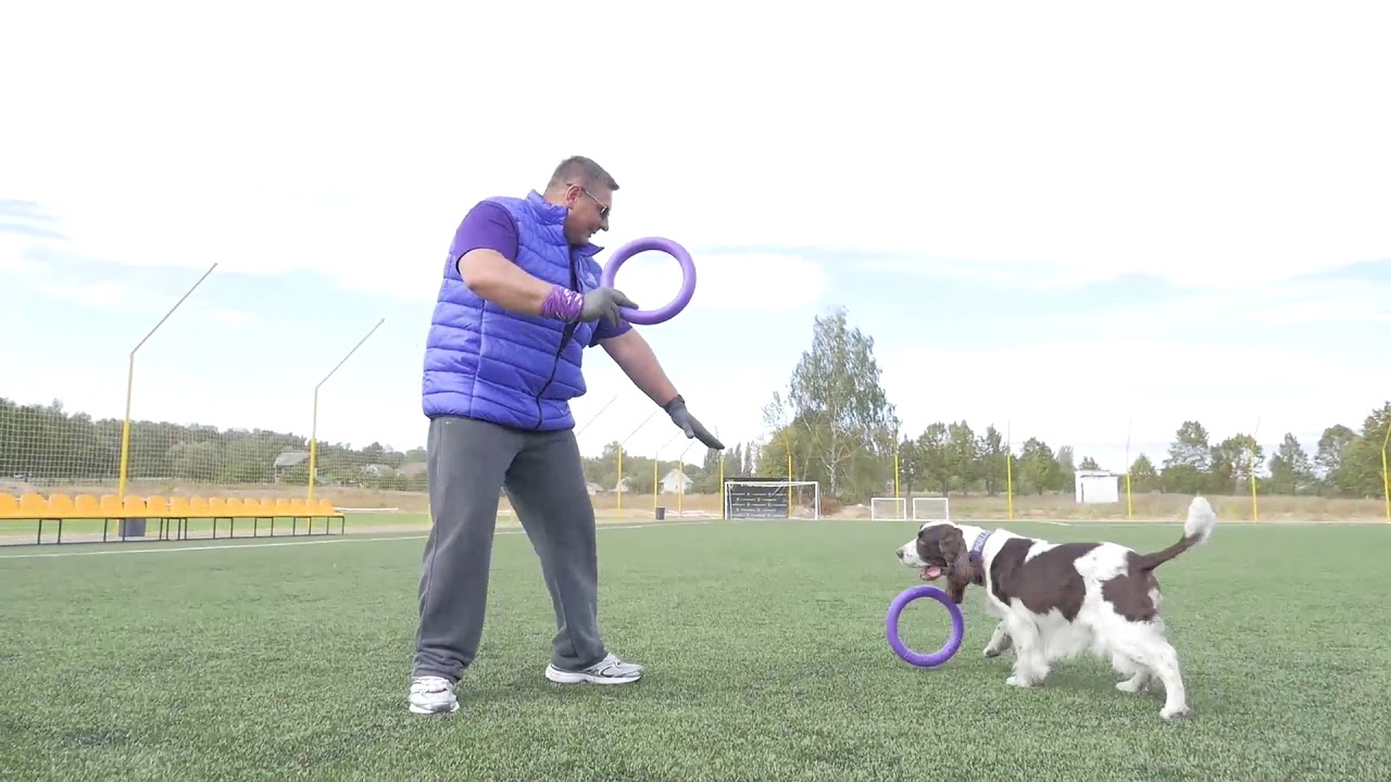 Puller Dog Fitness Tool - Running