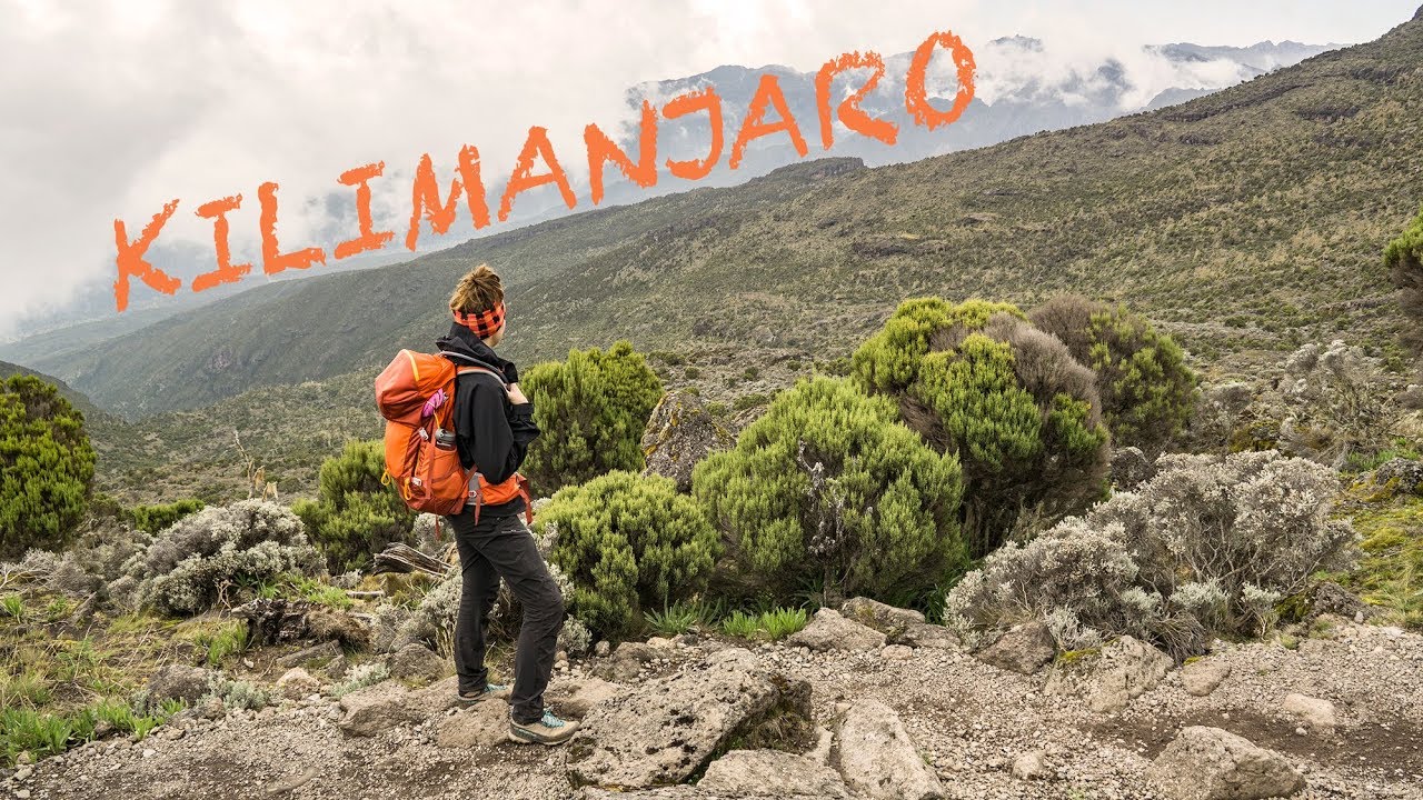 Jak wygląda trekking na KILIMANDŻARO?