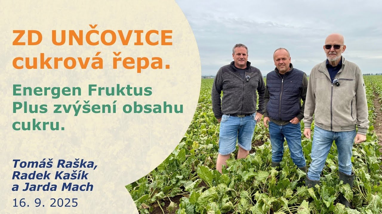 ZD UNČOVICE - aktualita cukrová řepa. Fruktus a tvorba cukrů. Tomáš Raška, Radek Kašík a Jarda Mach.