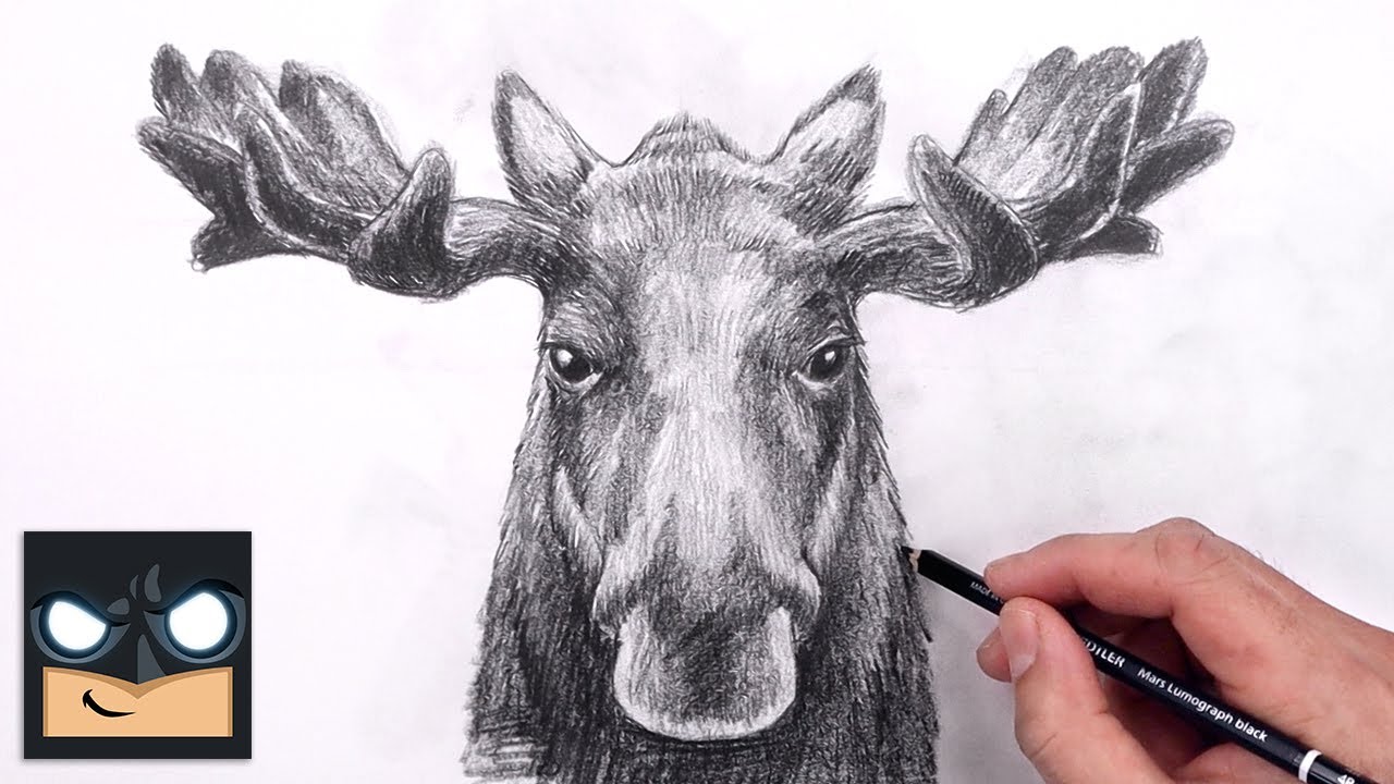How To Draw a Moose | Sketch Art Lesson (Step by Step)