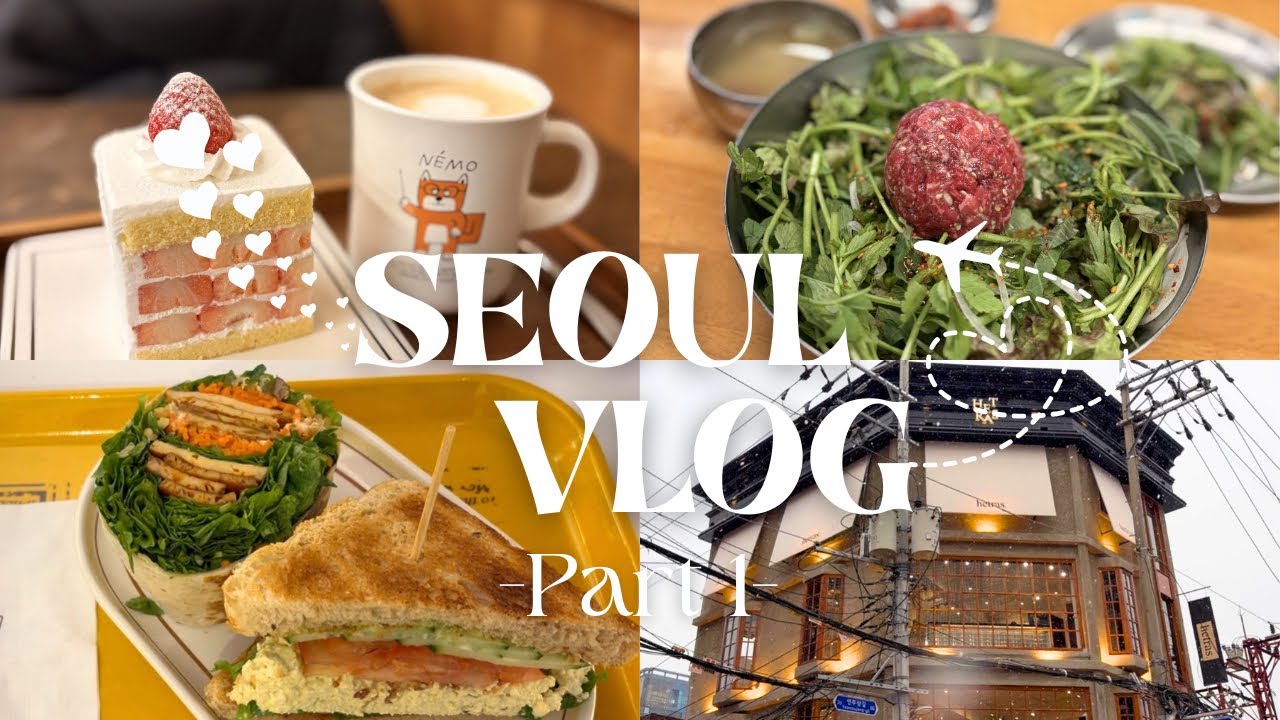 【韓国Vlog】2026.01前編♡今年初のソウル旅行🇰🇷✈️雪降って寒すぎた☃️聖水でショッピング/美容クリニック/ユッケビビンバ/スイーツ