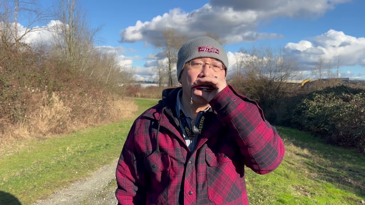 Ständchen Schubert Serenade - Diatonic Harmonica - Lucky 8