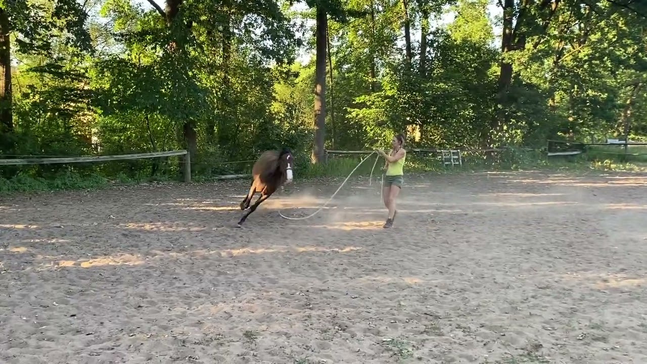 Leya looping - Video for Featherlight Academy