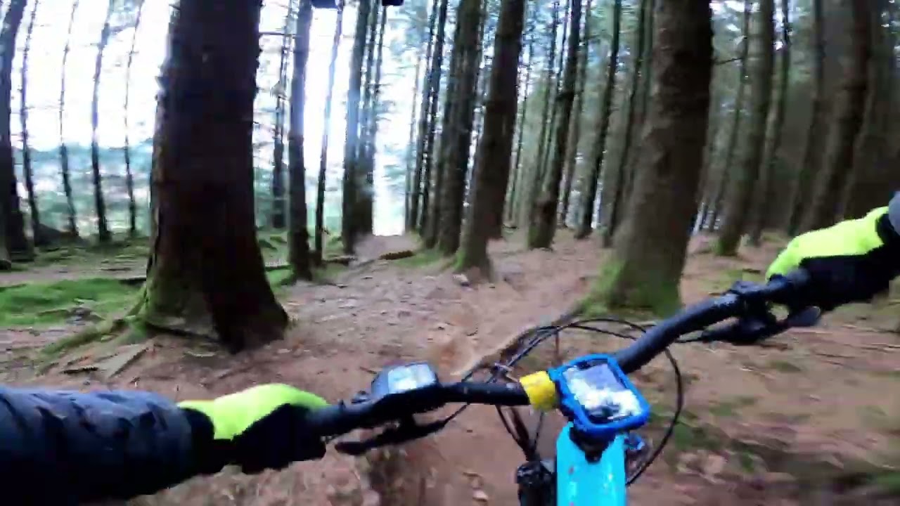 Dai Hard, black tech trail Bike Park Wales.
