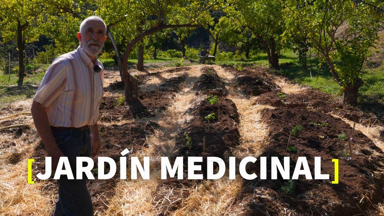 Cómo HACER un JARDIN MEDICINAL  | PARTE 1 - [PERMACULTURA]  | VLOG 14