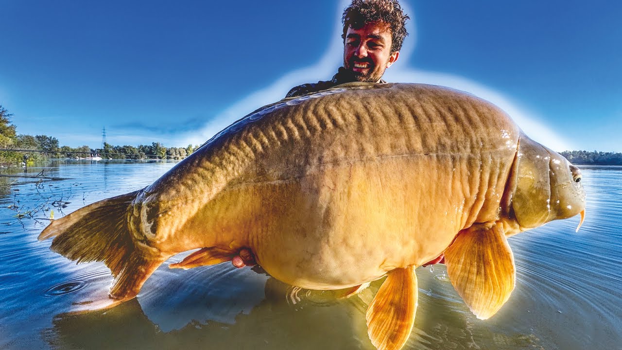 In diesem See leben nur MONSTER 🤯 Karpfenangeln im Herbst