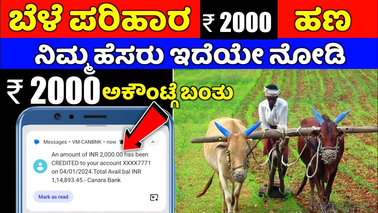 Bele parihara payment karnataka 2023 2024 ⚡ check status ⚡bara parihara online application ⚡ 2000