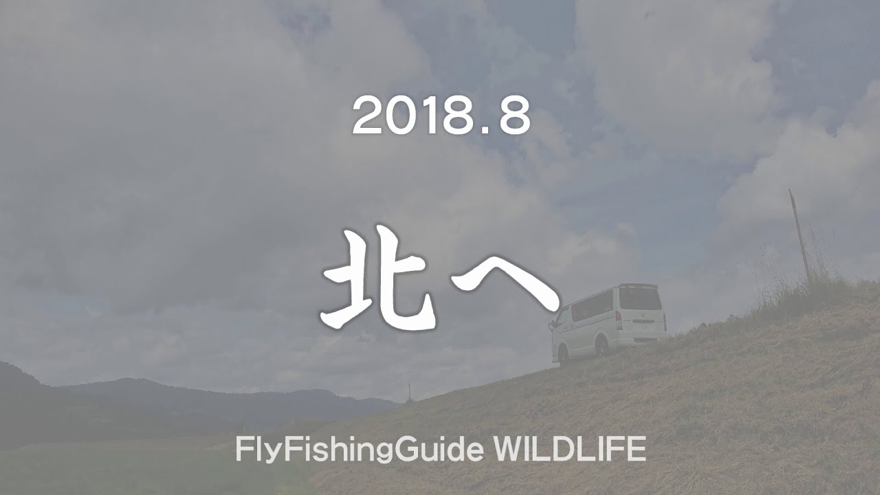 北海道の鱒達に逢いに...道北のフライフィッシングは楽しい！ WILDLIFE FLIFISHING SHOP  NAYORO（再投稿版）