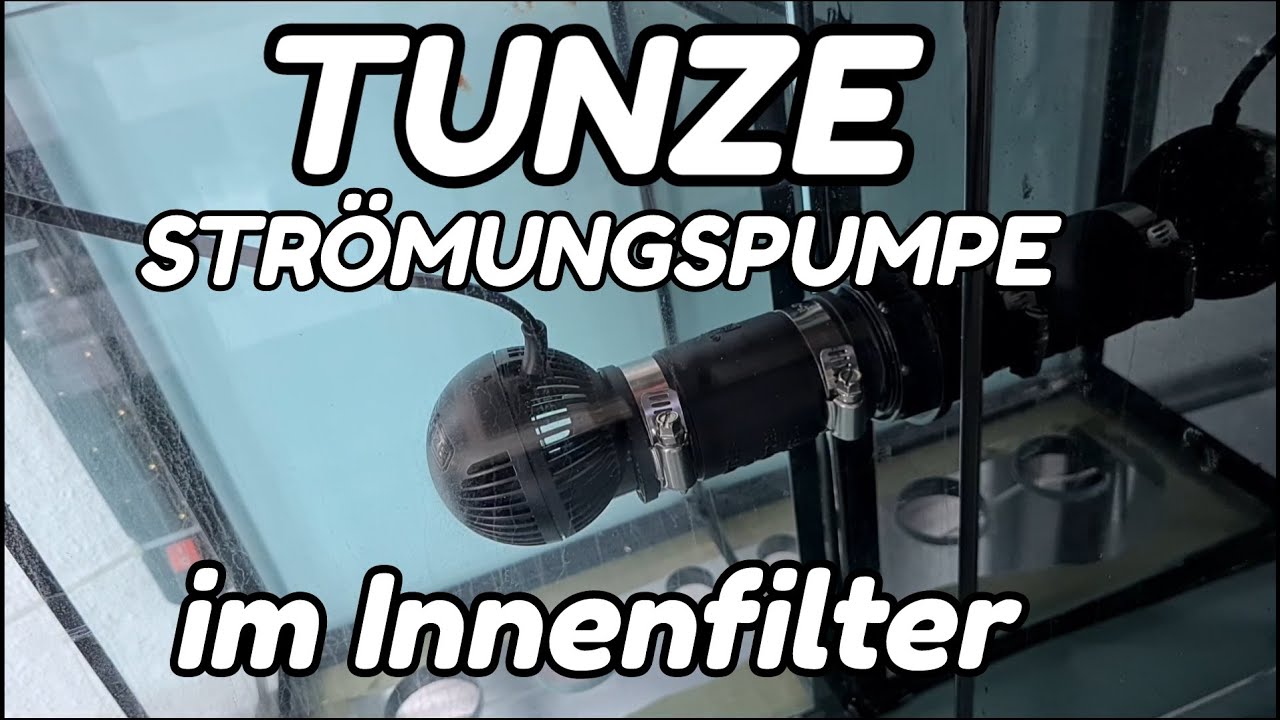 Mit einer TUNZE STRÖMUNGSPUMPE den Bio-Innenfilter betreiben | Energiesparsam | Einbau