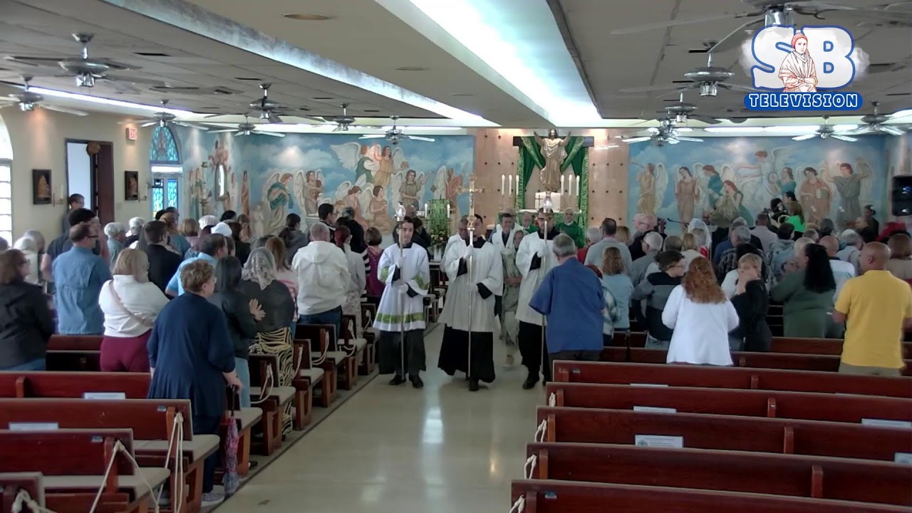 Domingo de la VI Semana del Tiempo Ordinario – Ciclo A – 15 de febrero de 2026