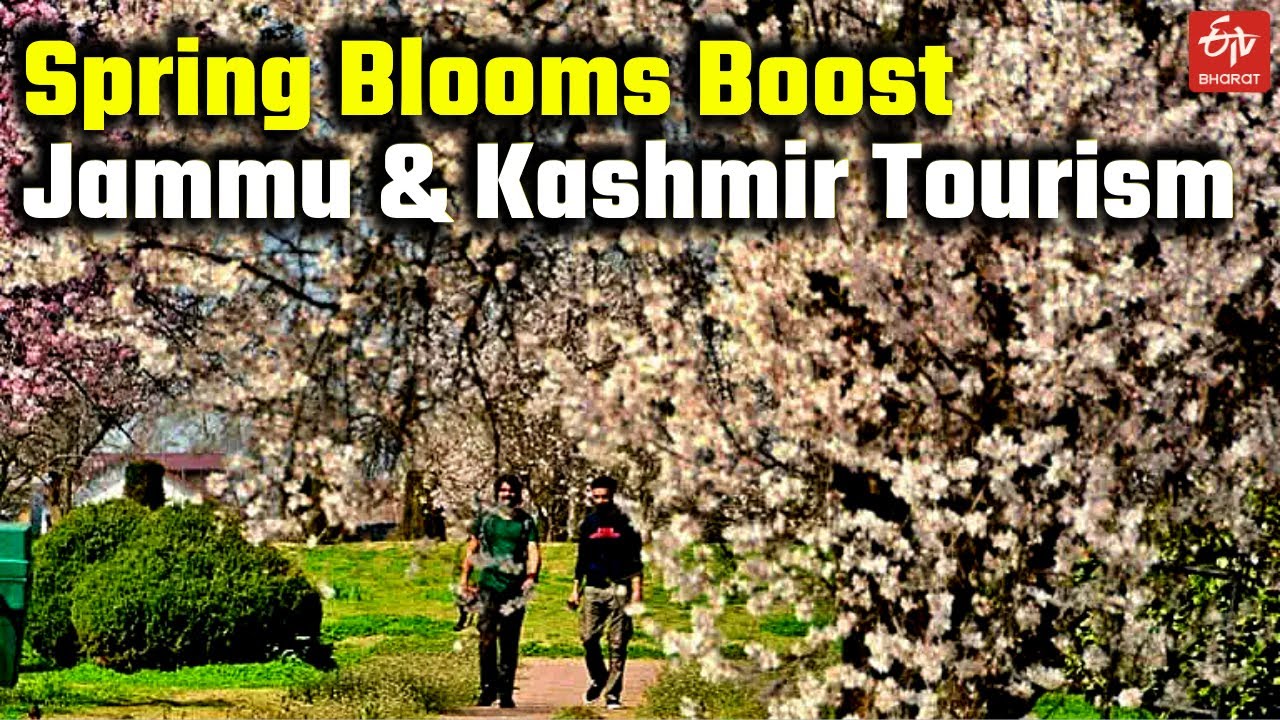 Spring Blooms Boost Kashmir Tourism | J&K Tourism Department | Houseboat Festival | Sufi Festival
