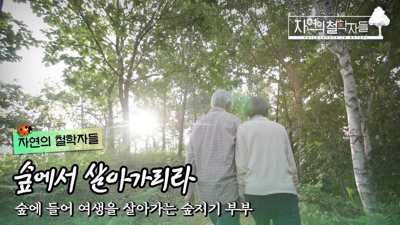 은퇴 후 숲에 들어 여생을 살아가는 숲지기 부부의 자연철학｜#자연의철학자들 KBS1 매주 금 방송｜[국내여행] 20230616