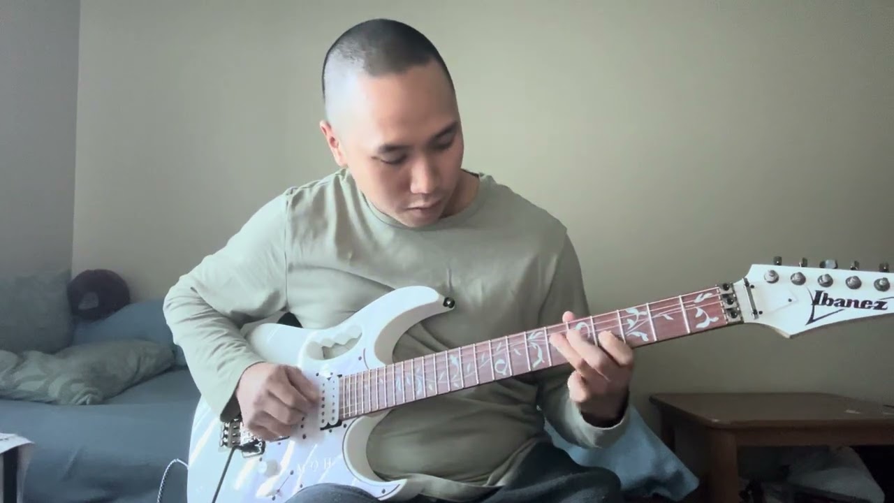 #Pantera - Floods (Guitar Solo and Outro) (Cover by Marko Hofschneider)