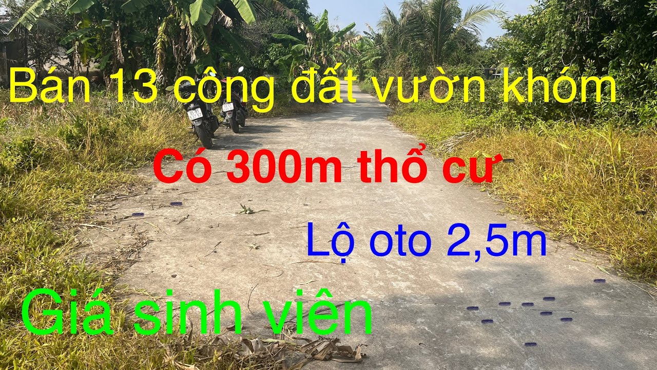 Bán gấp 13 công đất trồng khóm lộ oto giá đầu tư ở An Giang. 