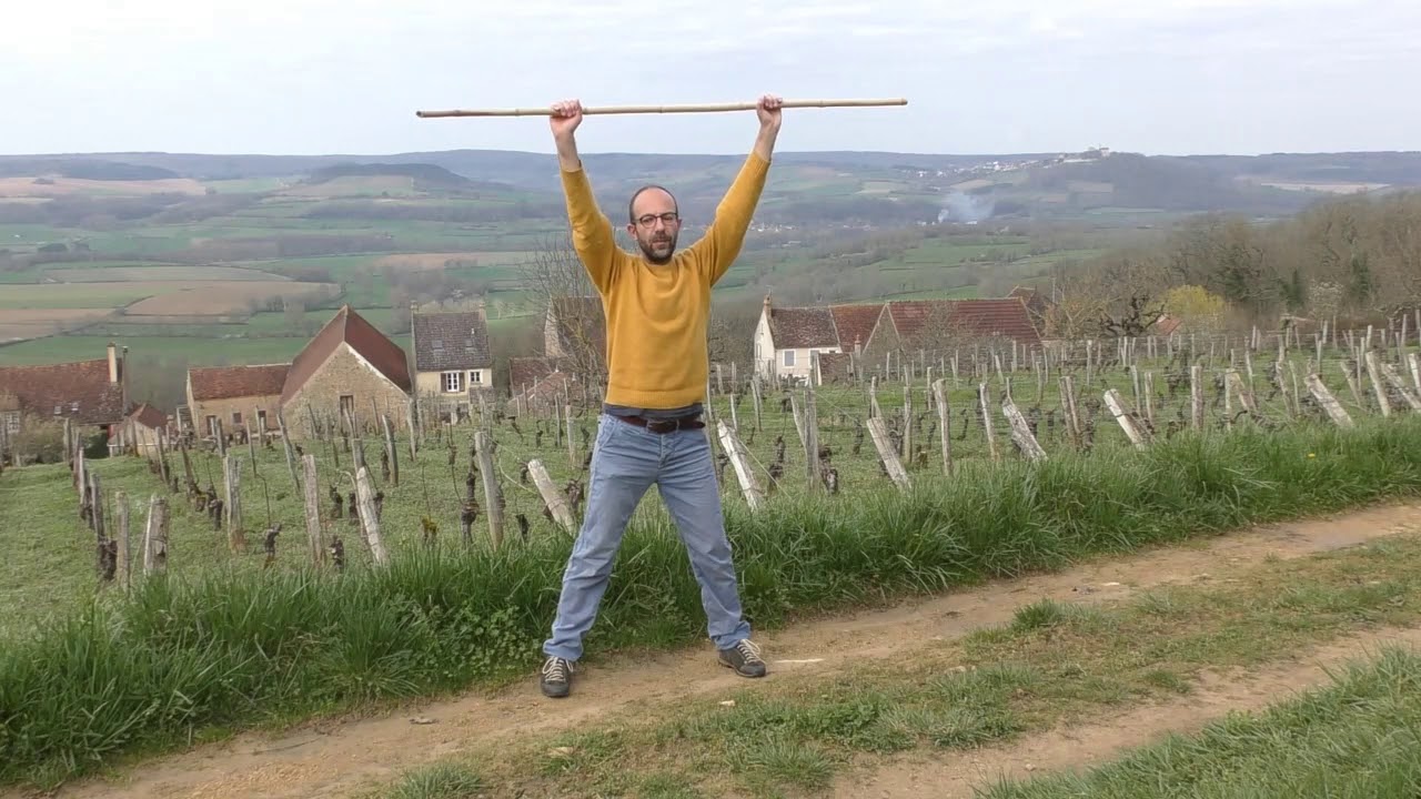Qi Gong du bâton