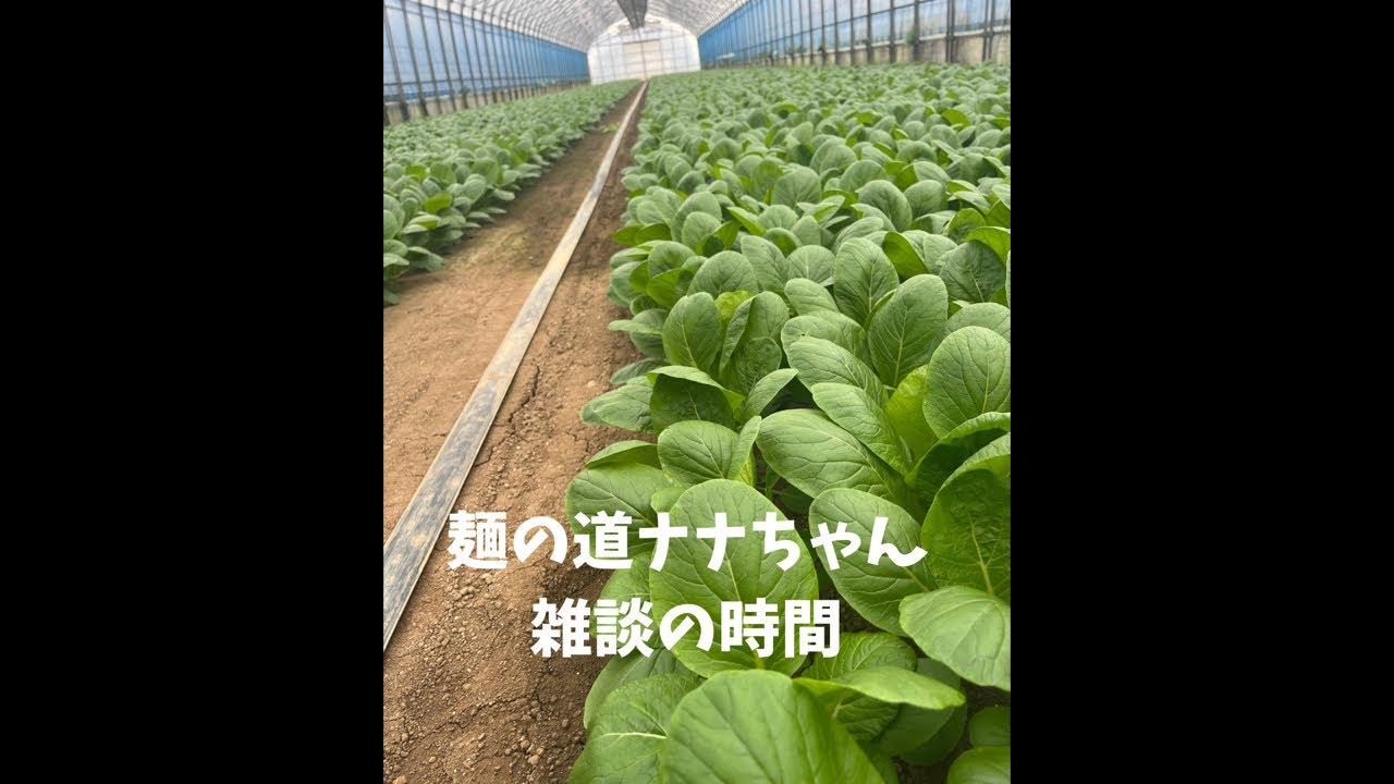 麺の道ナナちゃん福井移住生活日記 がライブ配信中！