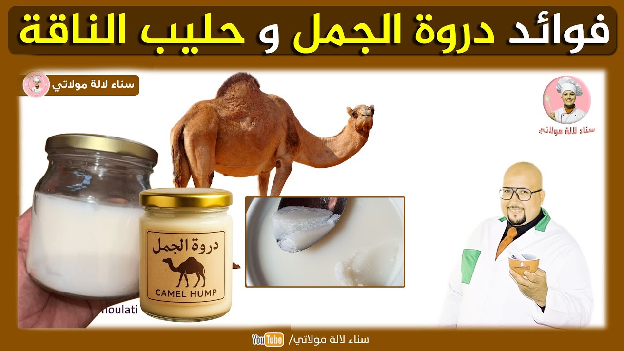 فوائد دروة الجمل وحليب الناقة للصحة والجمال | الدكتور عماد ميزاب Dr imad Mizab