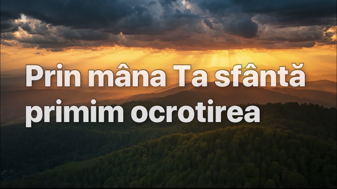Prin mâna Ta sfântă primim ocrotirea (Cover)