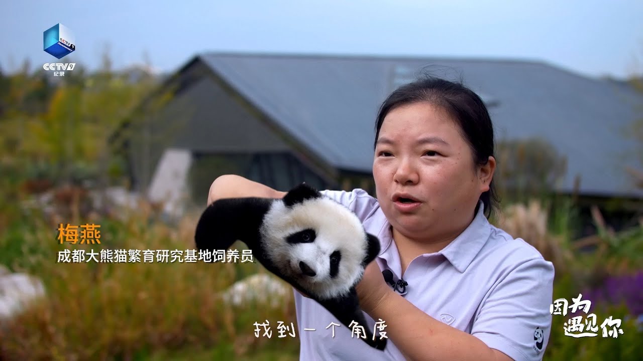 “辣个女人”来啦！