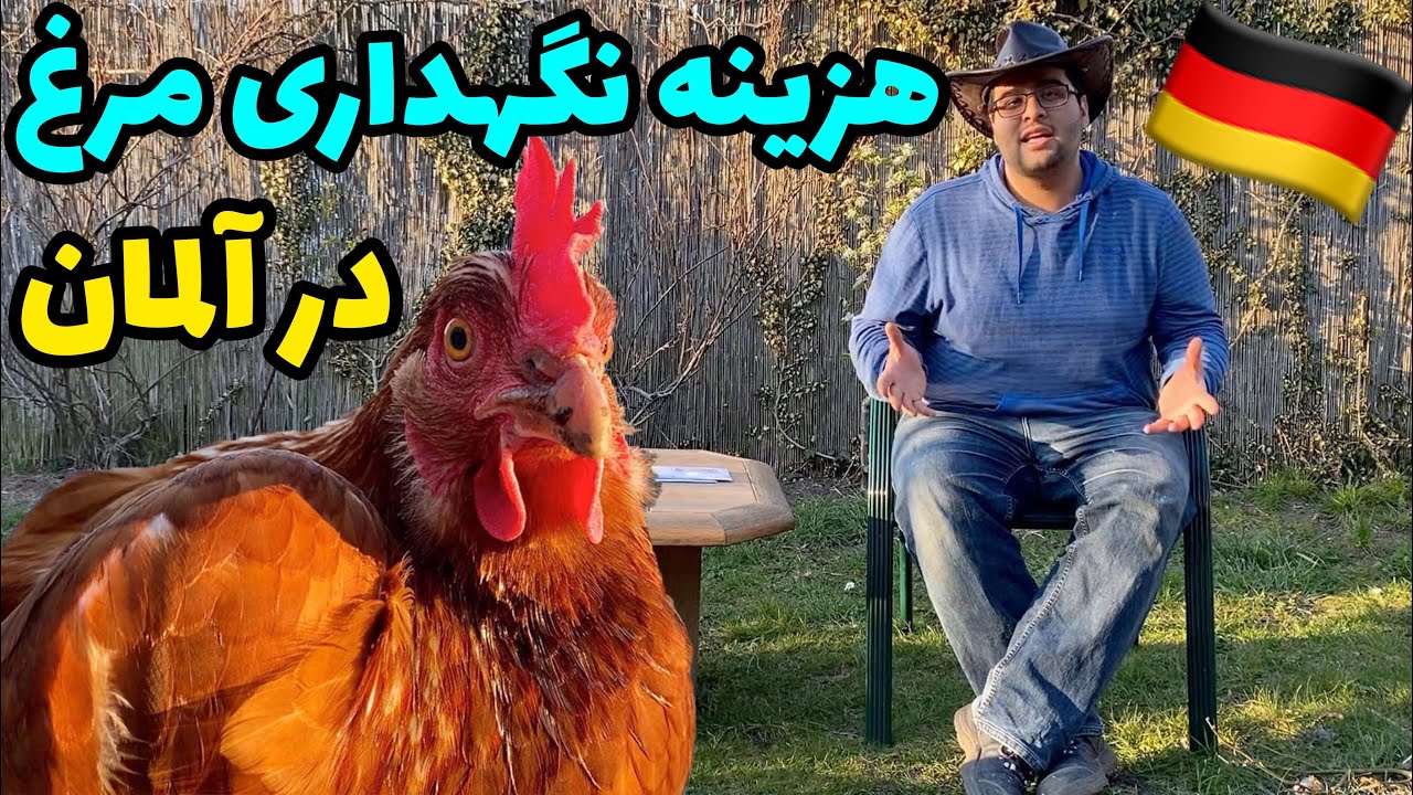 هزینه نگهداری مرغ و خروس در آلمان چقدر است؟