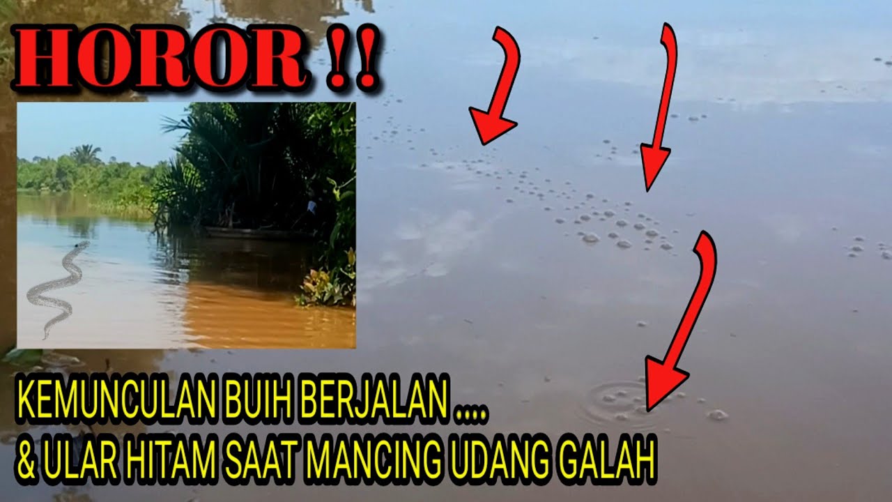 HOROR DI SUNGAI LANDAK‼️Lagi asik strike tiba tiba buih predator & ular berbisa muncul di depan muka