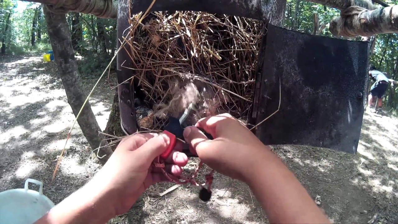 Scrivi Scoutismo Leggi Passione