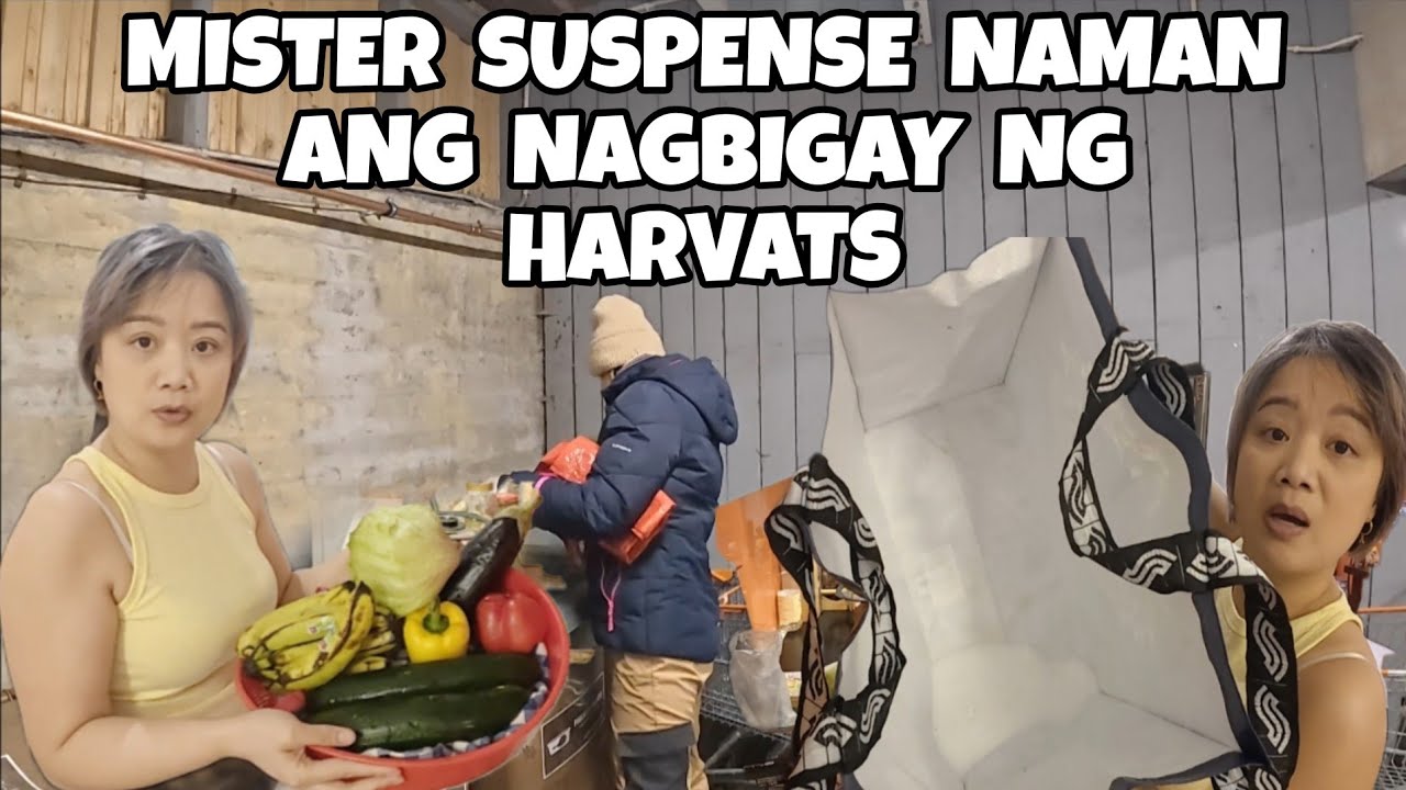 KAHIT MGA ASUKAL NAKUKUHA DIN SA BASURAHAN | DUMPSTER DIVING IN FINLAND | THAI-FINNISH 