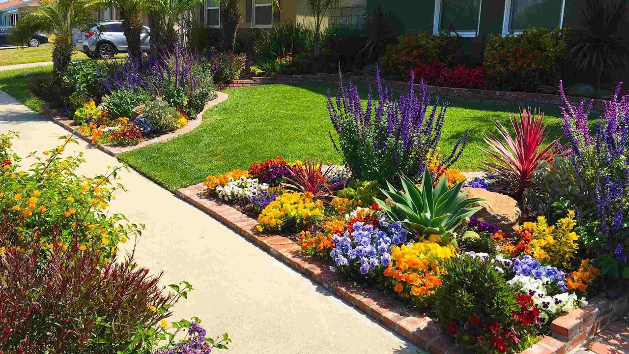 BEAUTIFUL! GROUNDCOVERS GARDEN LANDSCAPING DESIGN IDEAS | BEST GROUND COVER TO ELIMINATE WEEDS