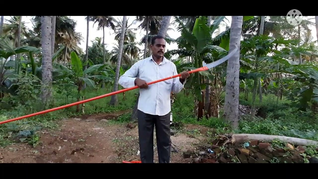 Tree pruner 🌳Telescopic Pruning Saw.Extendable Pole Saw for trimming.#pruning#telescopic