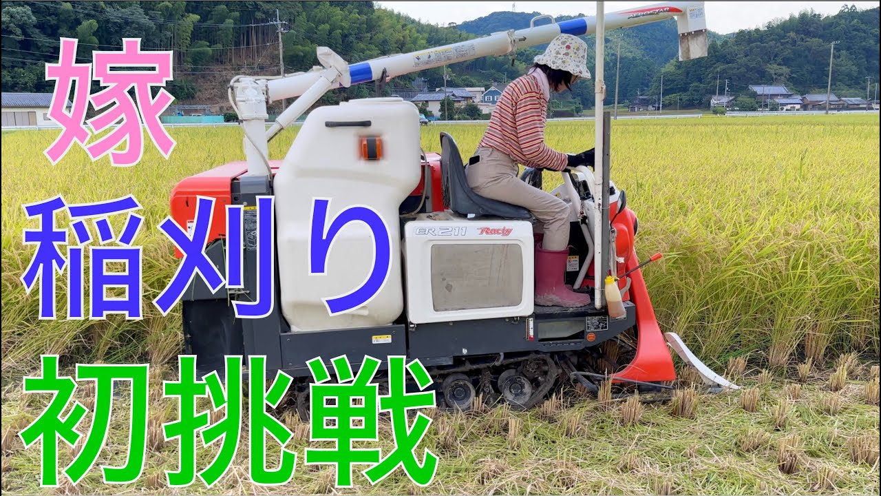 【２０２４ 米作り２８】稲刈り（一日目）嫁コンバイン初挑戦だぞ！！