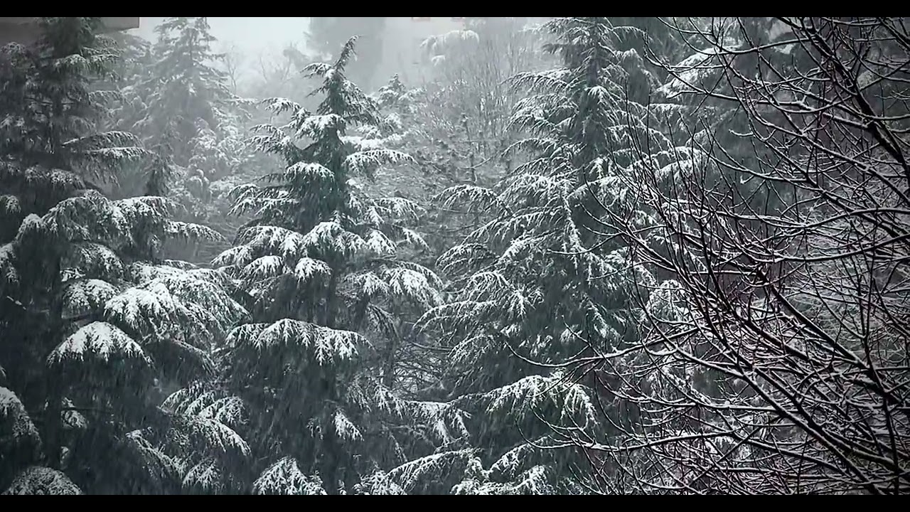 Istanbul Snowfall ❄️ Pure Snow Sound for Deep Calm & Sleep