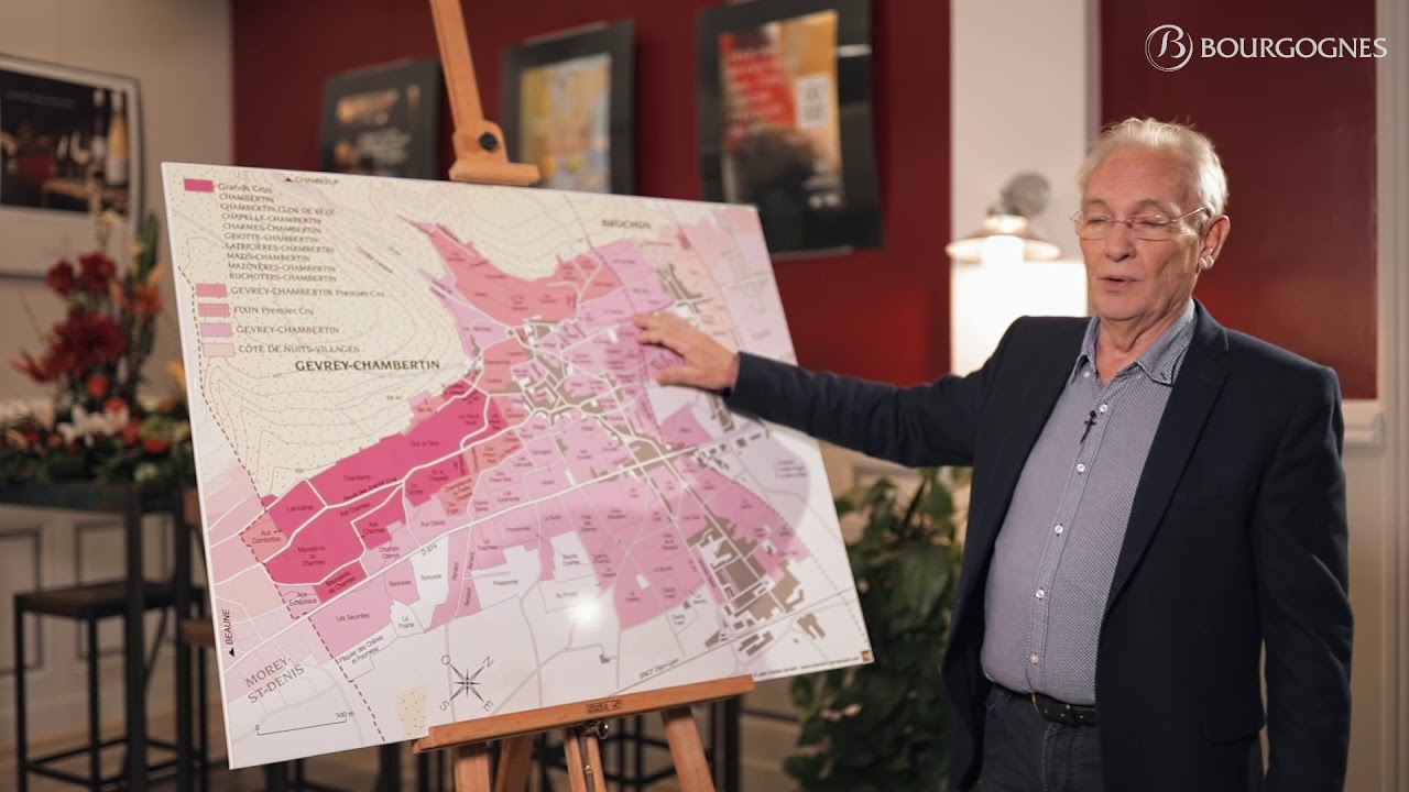 L'appellation Gevrey-Chambertin décryptée par sa géologie et sa géographie