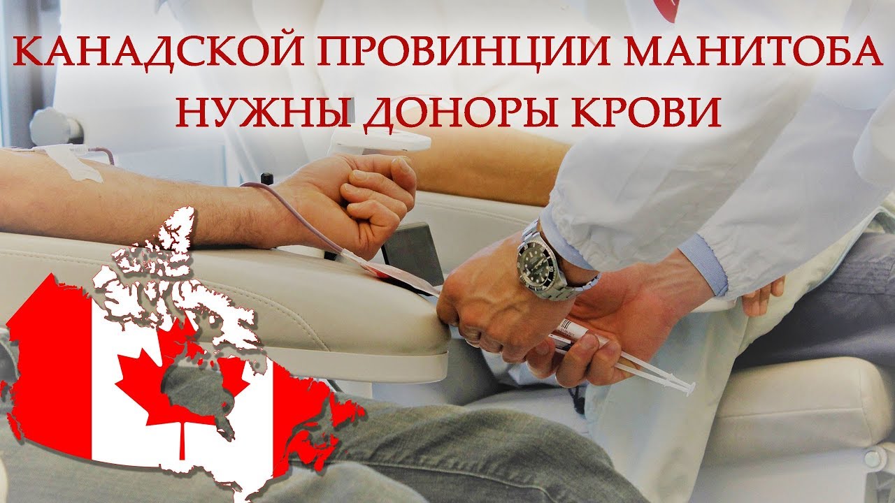 Манитоба остро нуждается в донорах крови
