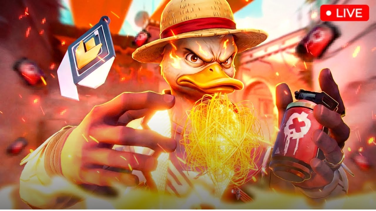 🔴  Chill Stream and Quack Quack !!