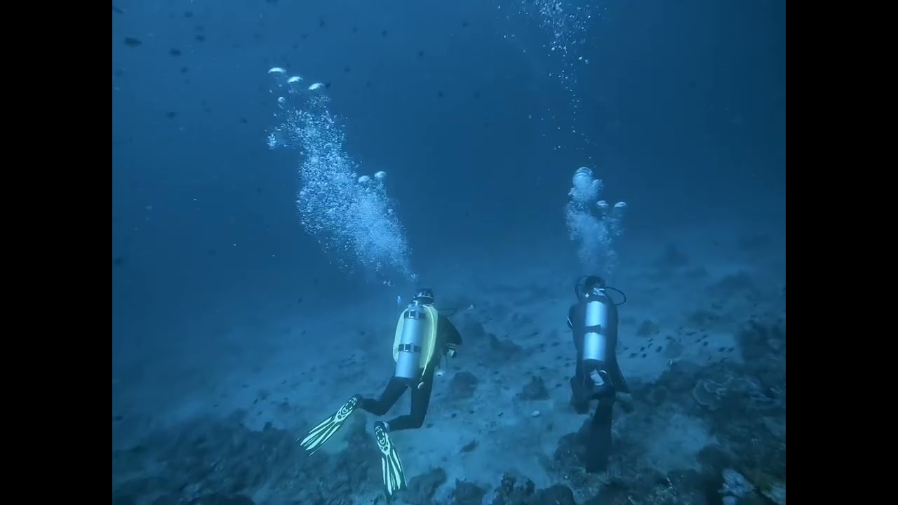 #batangas #scubadiving #pilipinas #스쿠버다이빙 Dominic&Sierra scuba diving @dominicann0831 