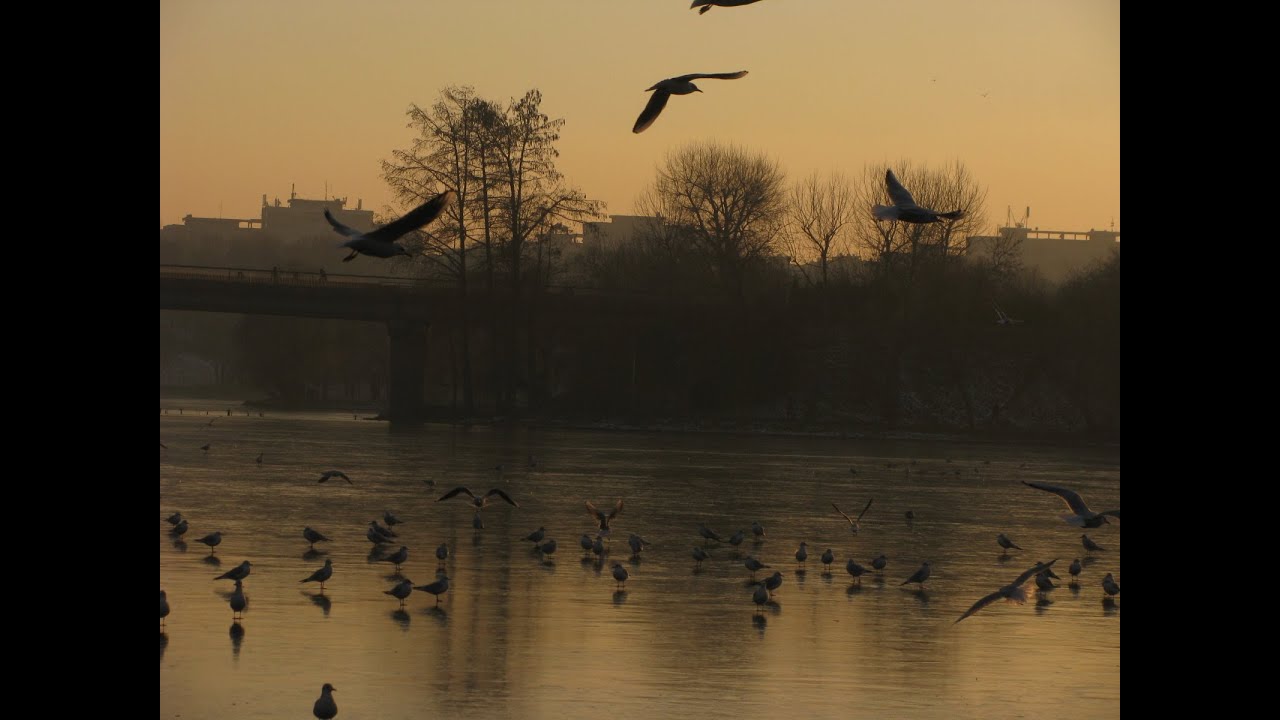 Late autumn landscapes in November