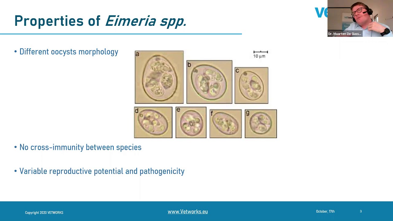 Provet Webinar on Managing Coccidiosis in Poultry Broilers