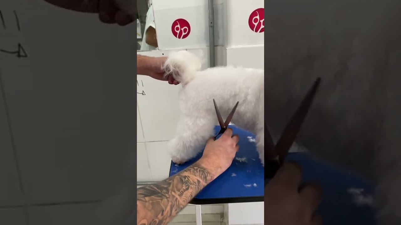 Dúvidas na hora da Tosa bebê ??