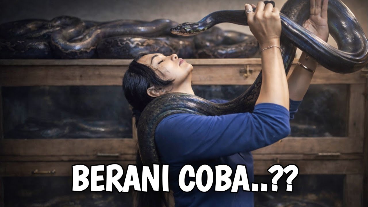 DIKELILINGI ULAR BESAR! RUMAH RATU ULAR PEMUJA NYI RORO KIDUL