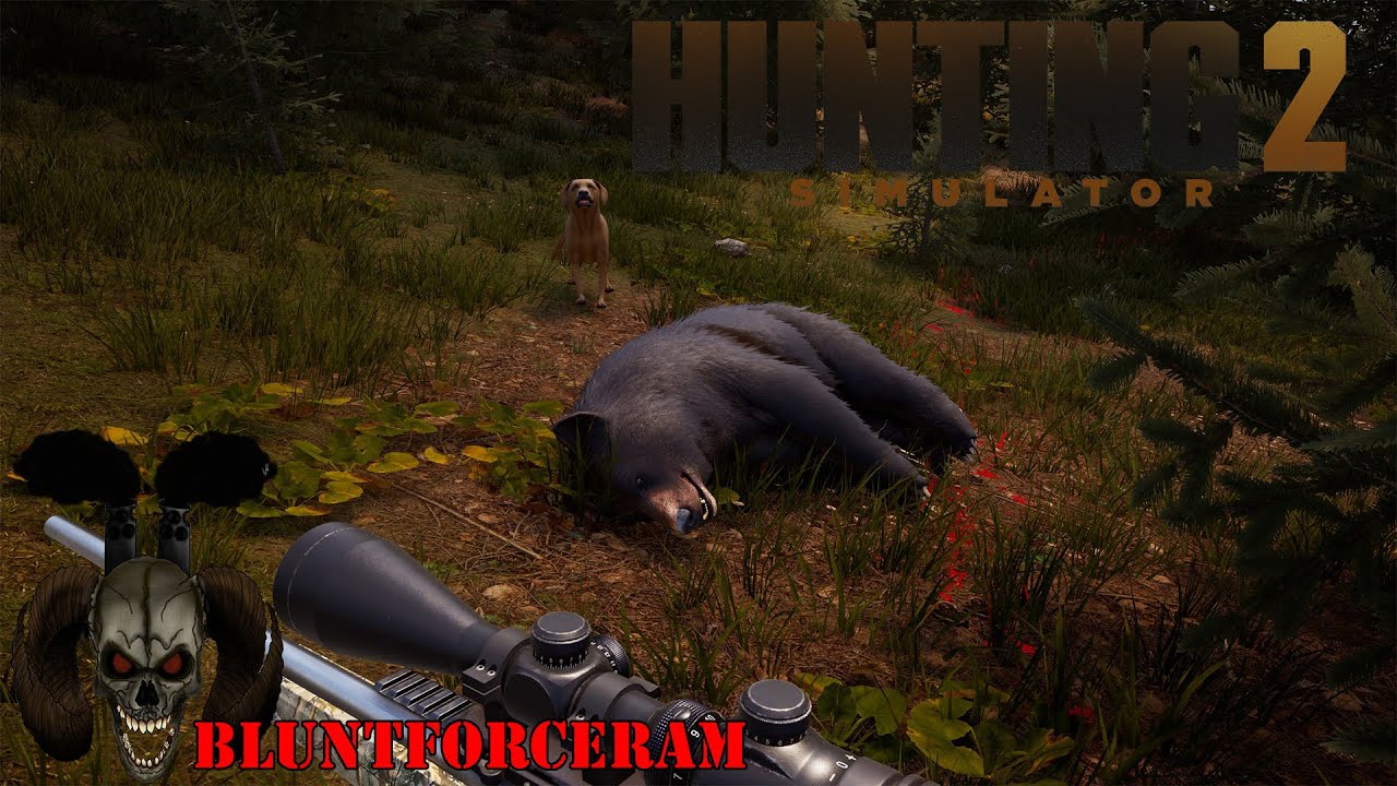 Собираю коллекцию медведей! Hunting Simulator 2