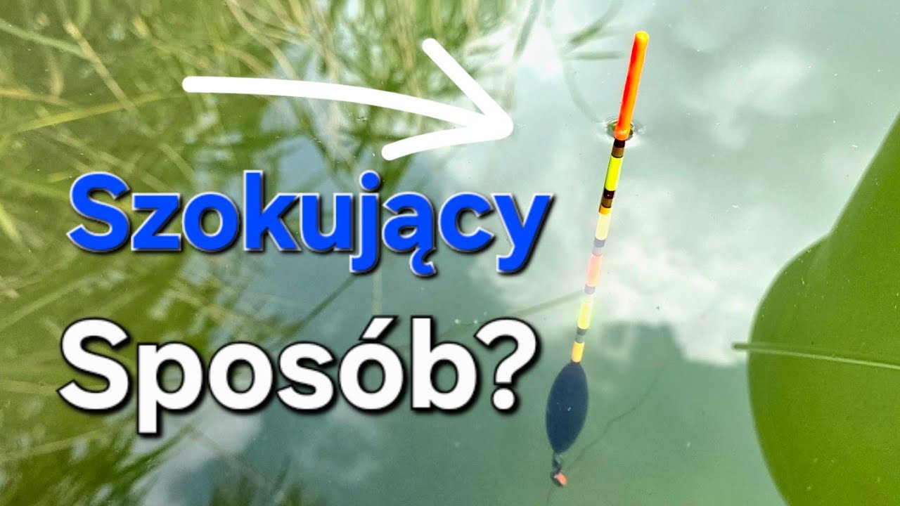 Tak Jeszcze Nie Łowiłem! Coś Niesamowitego! Zaskakujące Łowienie! Wędkarstwo Spławikowe PZW!