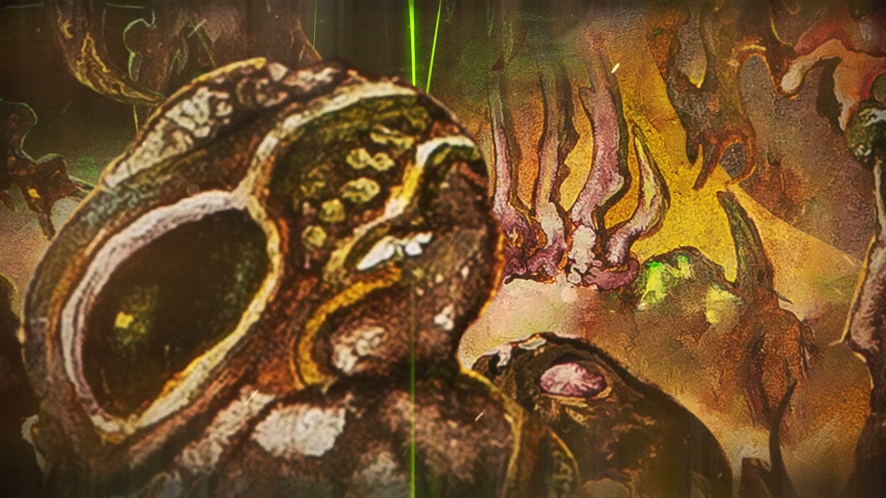 WORM - Murk Above The Dark Moor (From 'Foreverglade' LP, 2021) Official Visualizer