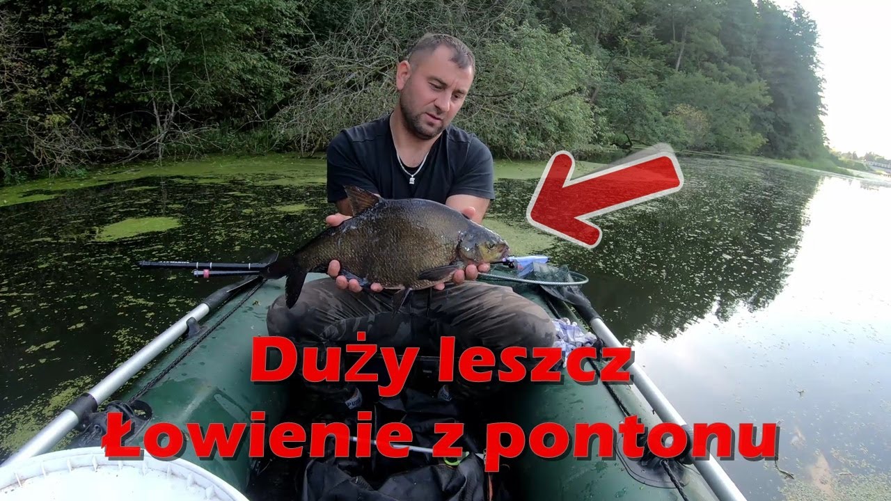 Duży leszcz złowiony na bolonkę z pontonu | Rzeka Łyna