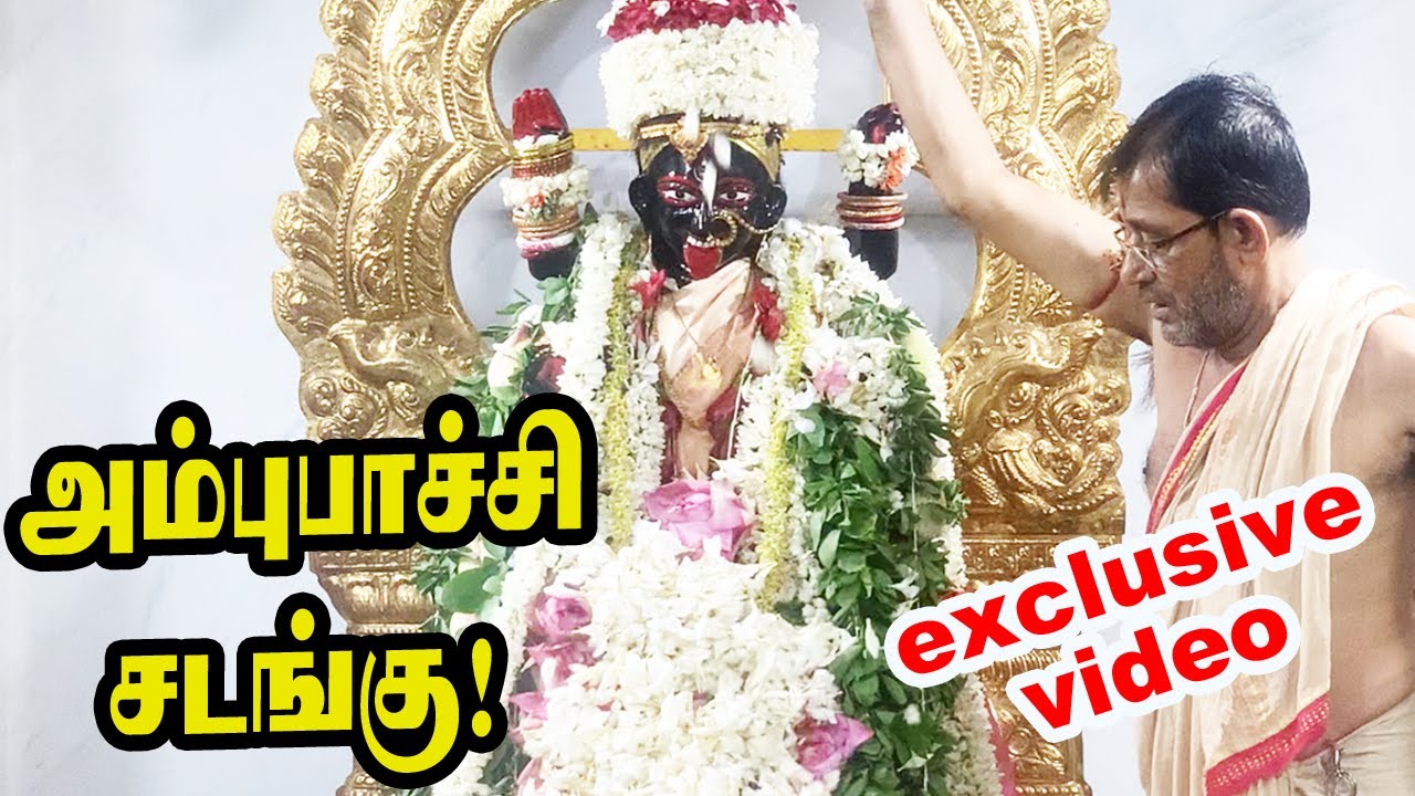 அம்புபாச்சி சடங்கு | exclusive video | Ambubachi Mela at chennai | madras kali bari