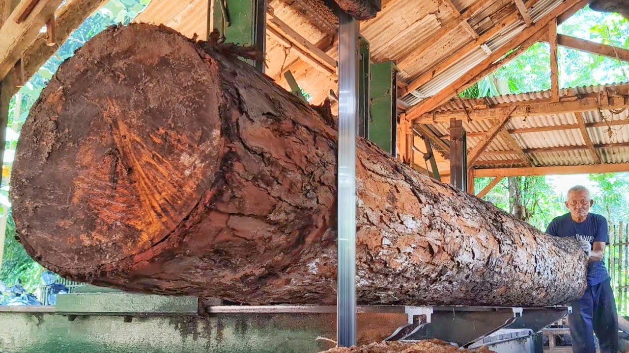 Wood with a million uses, easy to find and affordable.