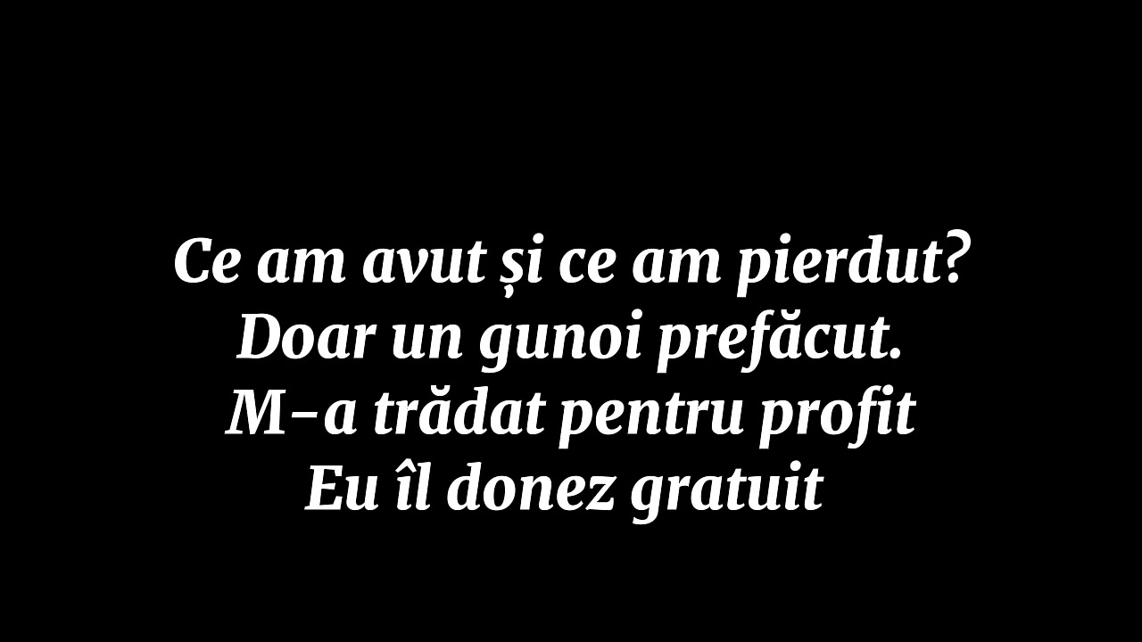 DANI MOCANU - GUNOI (VERSURI)
