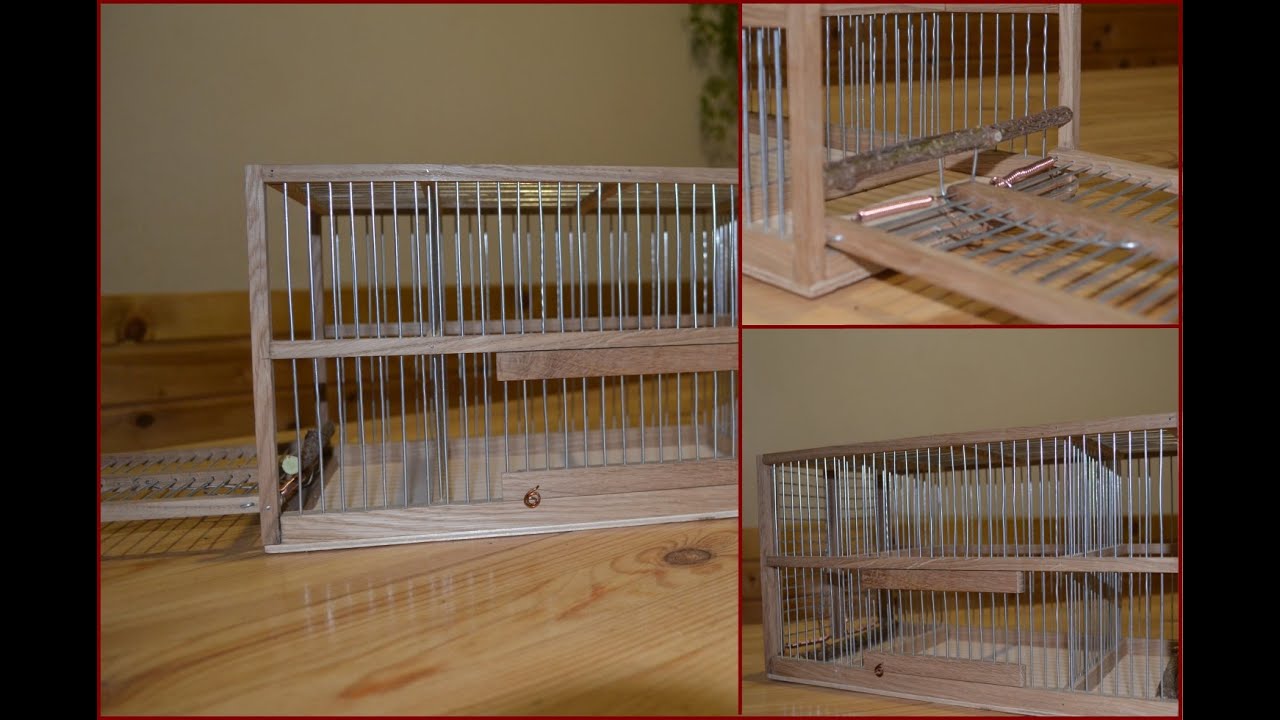 Западок для ловли певчих птиц. Birds trap.