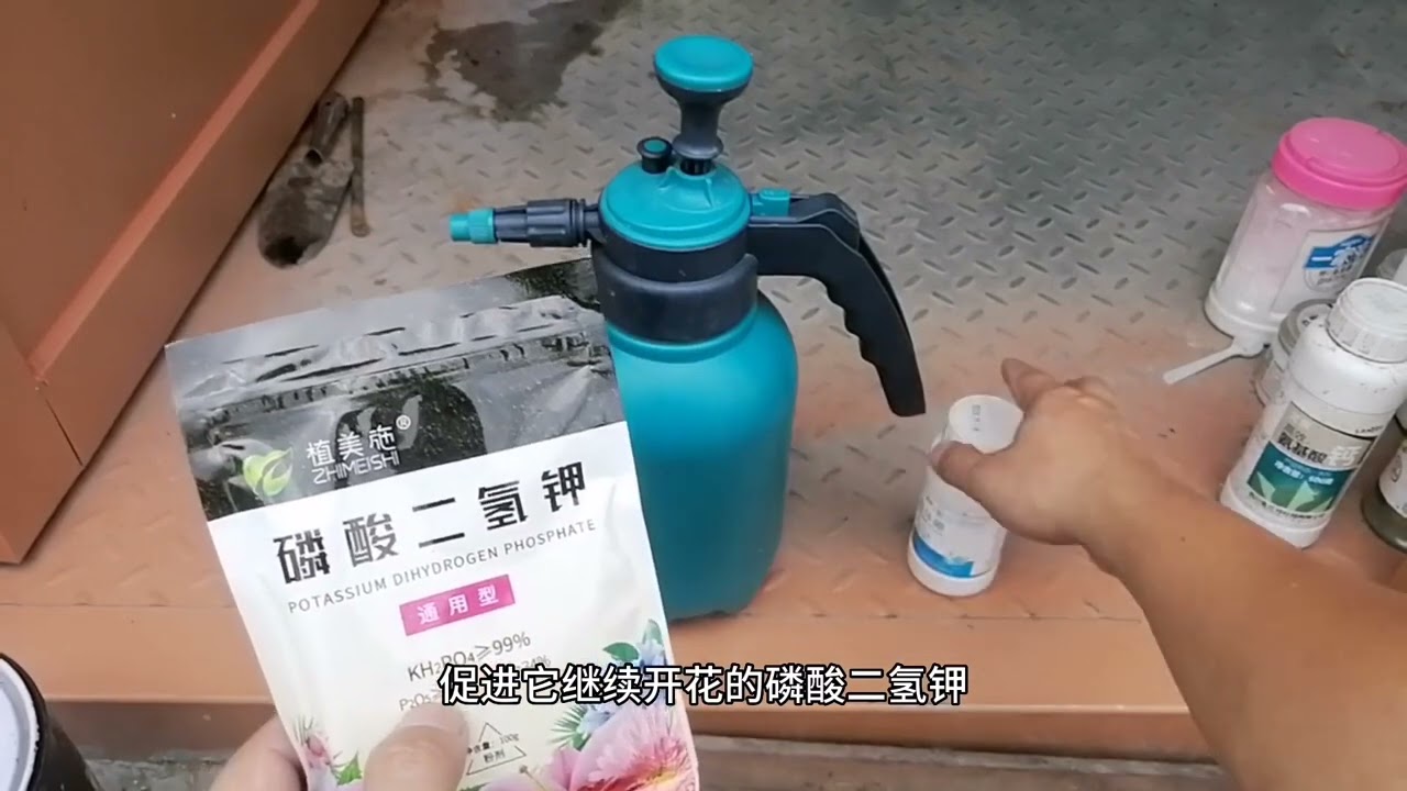 磷酸二氢钾缺了“硼”，喷100次都白搭？