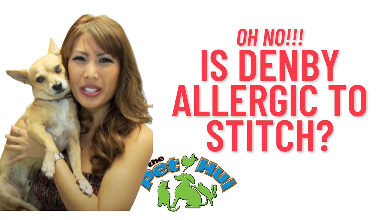 Allergic to Dogs???